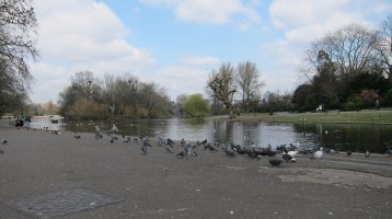 Regent's_Park,_Londres_-_panoramio